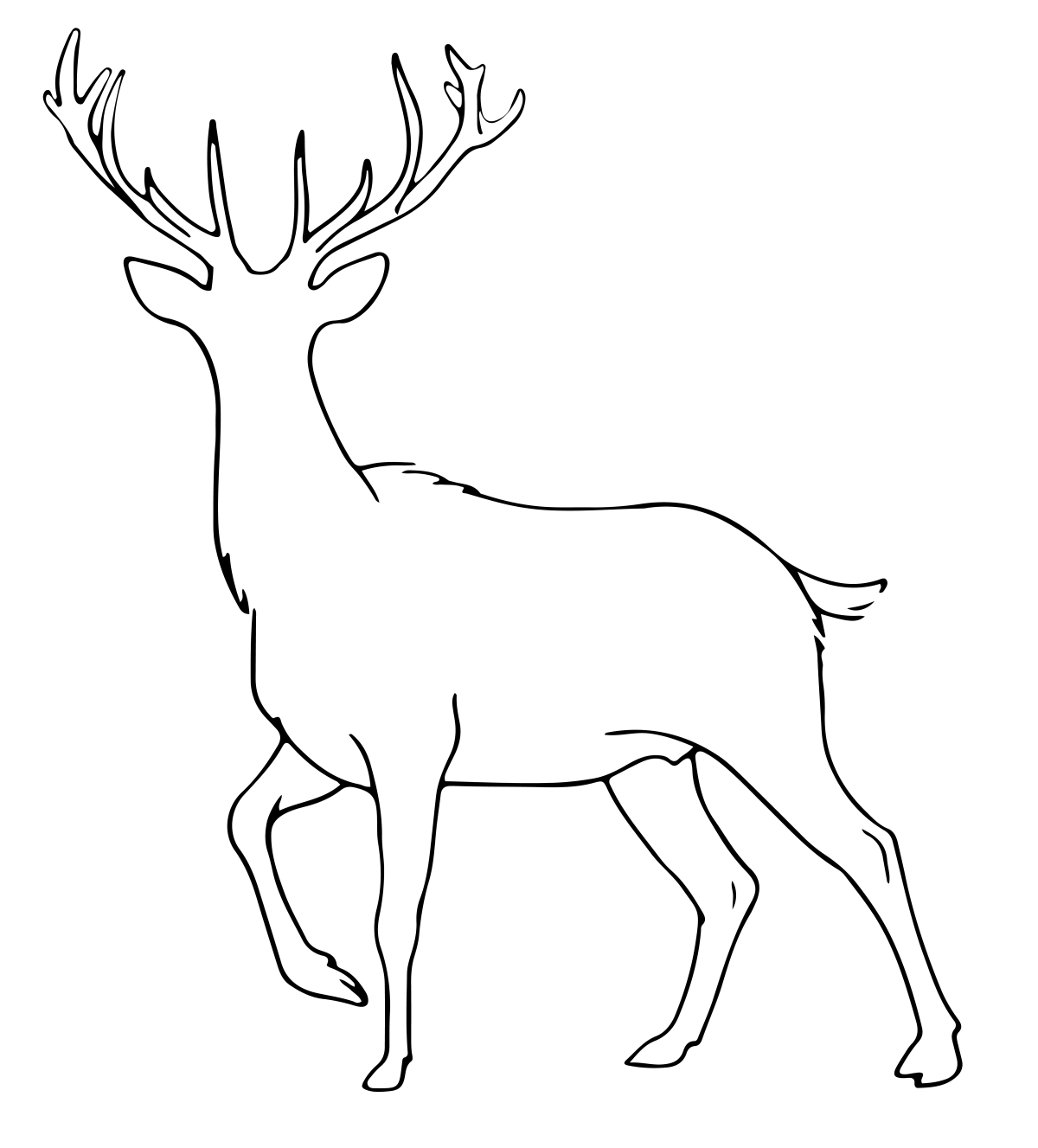 cervo 04 e1729109852270